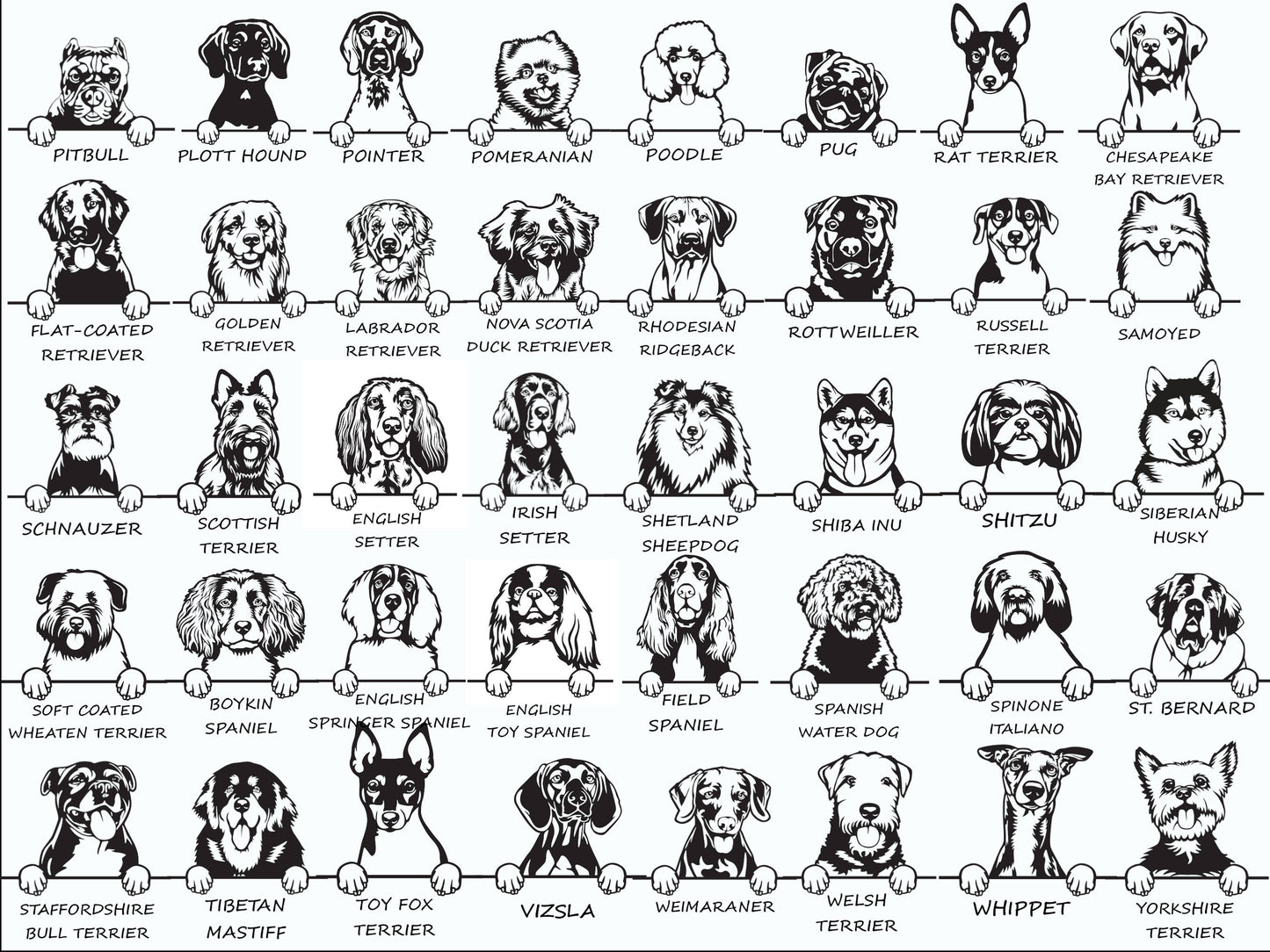Personalized Dog Face Shirt, Dog Shirt, Custom Dog Name Tee, Personalized Dog Shirt, Dog Lovers Shirt