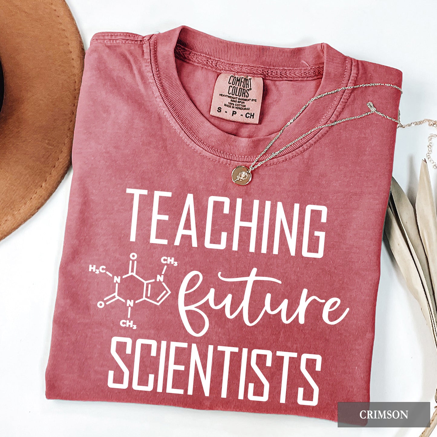 Teaching Future Scientists Comfort Colors® Shirt